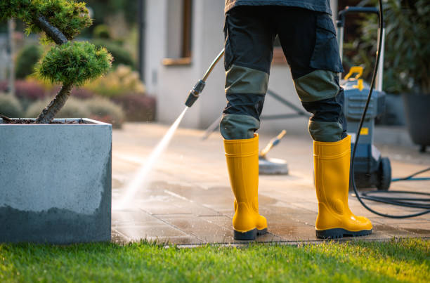 Best Roof Power Washing Services  in Lake Stickney, WA